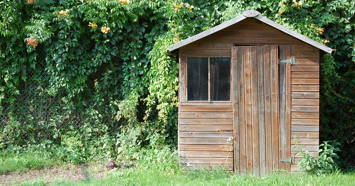 A garden shed being cleared