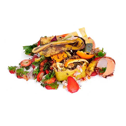 Food Waste